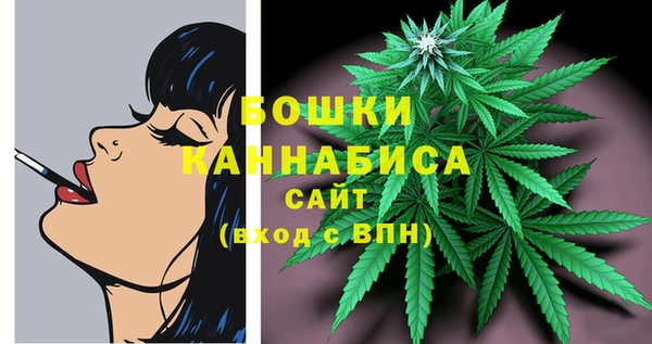 2c-b Мегион