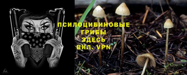 кристаллы Медвежьегорск