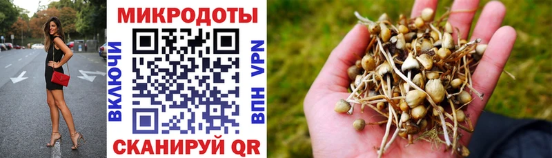 что такое   Чёрмоз  Галлюциногенные грибы прущие грибы 